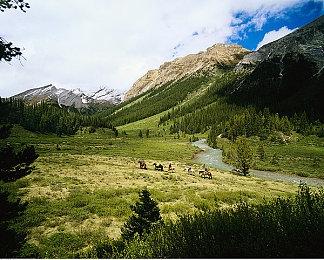 《原神》发布申鹤角色PV 隐居静修的少女